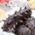 大连海参/即食海参/刺参/品质好对接全国高端送礼欢迎