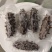 大连海参/即食海参/刺参/品质好对接全国高端送礼欢迎