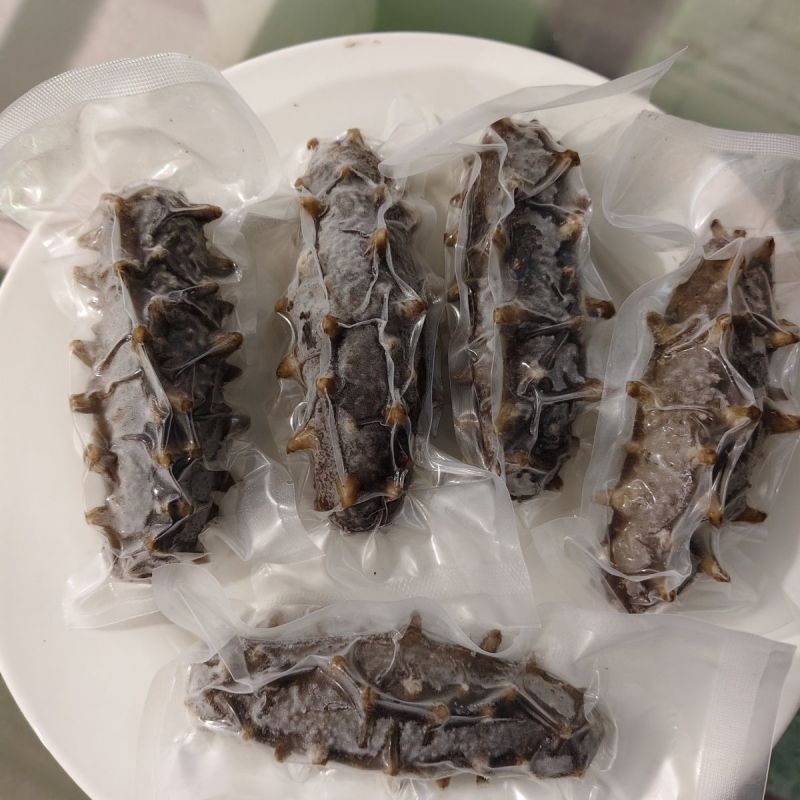大连海参/即食海参/刺参/品质好对接全国高端送礼欢迎