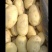 希森土豆28亩找老板