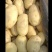 希森土豆28亩找老板