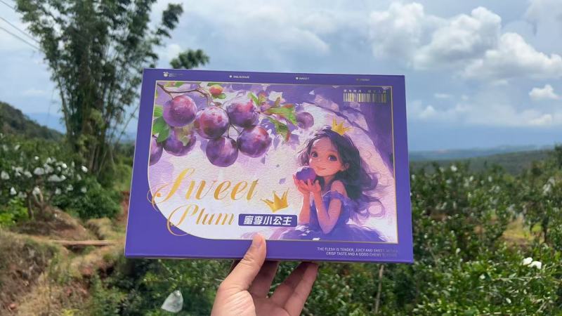 五月脆李子精品包装大量有货量大从优保质保量欢迎来电
