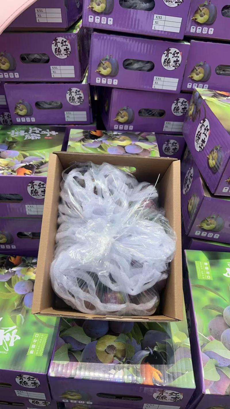 五月脆李子精品包装大量有货量大从优保质保量欢迎来电