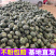 贝贝南瓜小南瓜大量供应全国发可视频看货欢迎来电采购