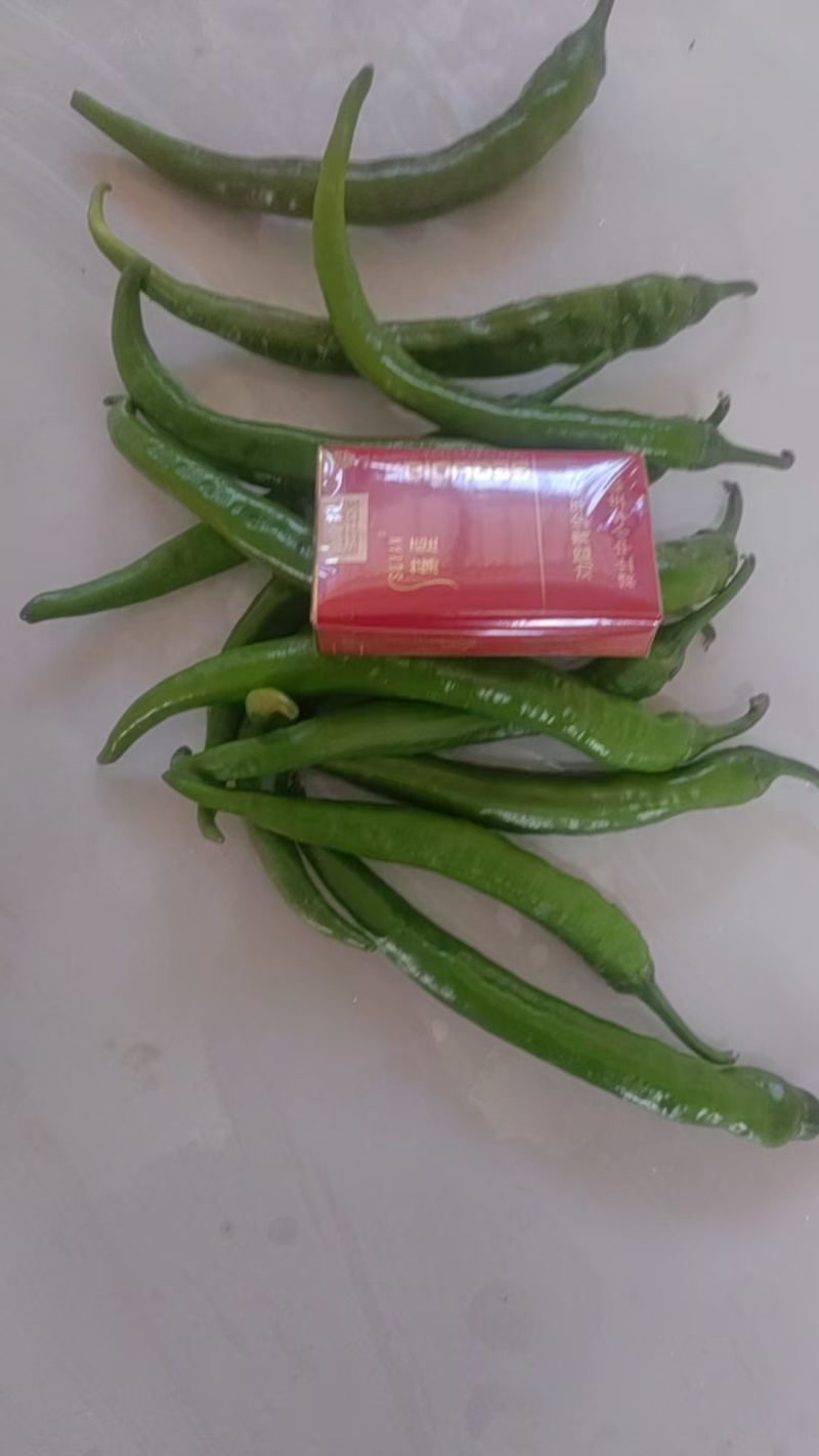 山东德州鲜辣椒/薄皮辣椒供应食品加工餐饮商超等渠道