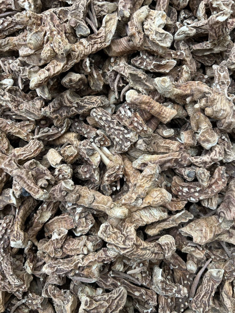 知母片，各种规格，产地直销，一手货源批发零售！