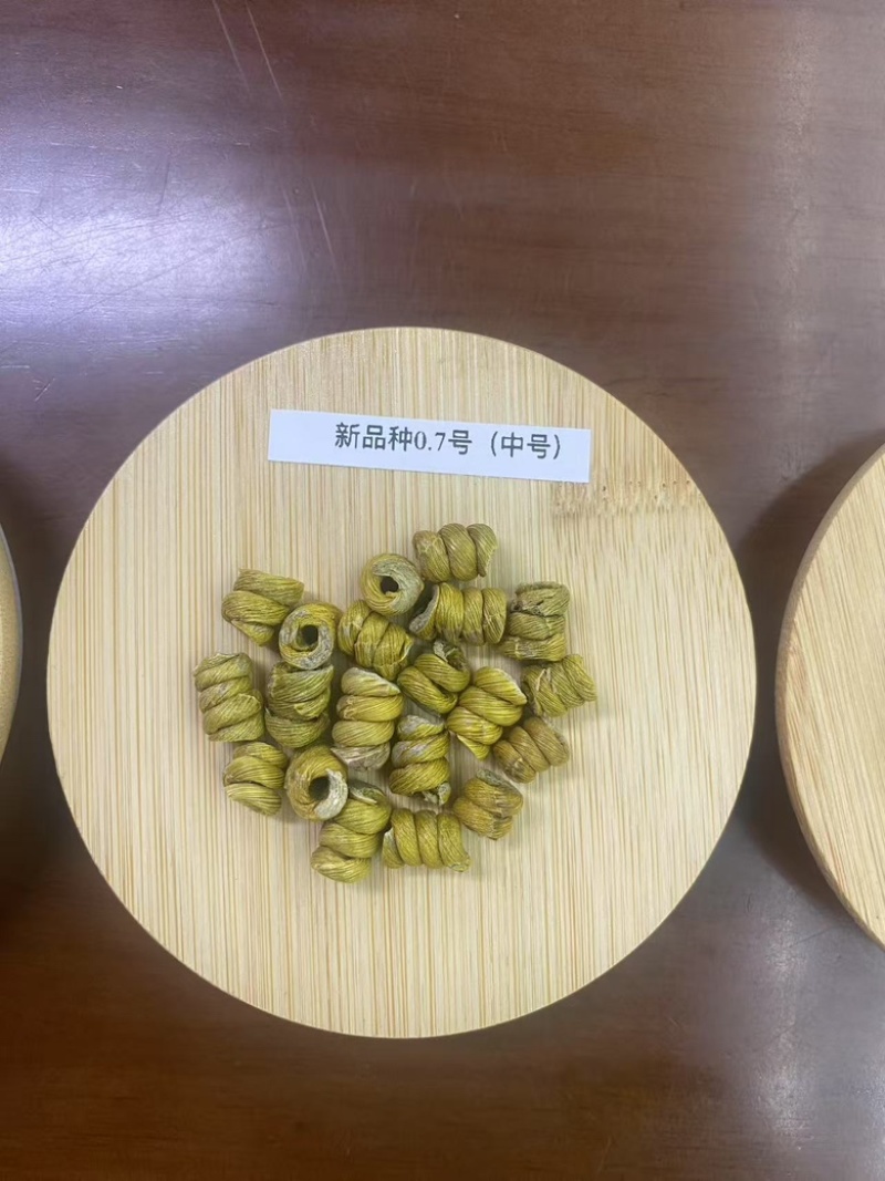 石斛霍山铁皮石斛枫斗新品种大量供应规格齐全，量大从优