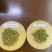 石斛霍山铁皮石斛枫斗新品种大量供应规格齐全，量大从优