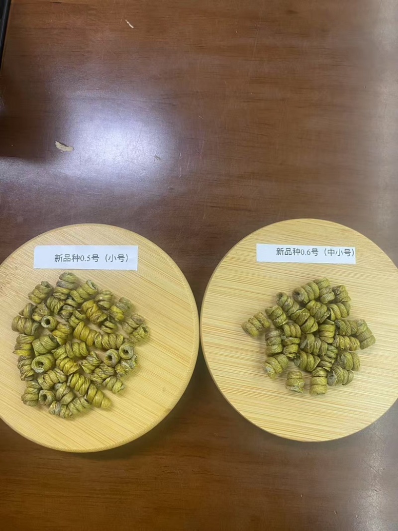 石斛霍山铁皮石斛枫斗新品种大量供应规格齐全，量大从优