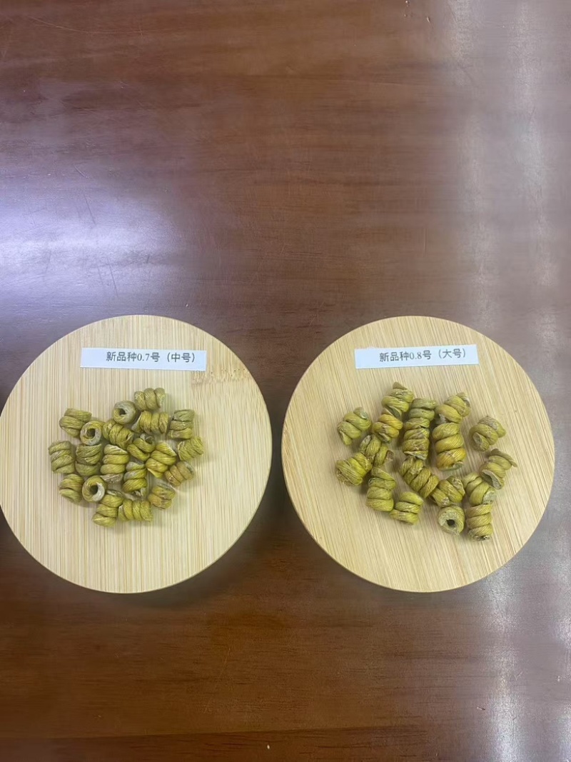 石斛霍山铁皮石斛枫斗新品种大量供应规格齐全，量大从优