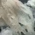 《包邮》精品燕条燕窝工厂直发对接全国售后无忧
