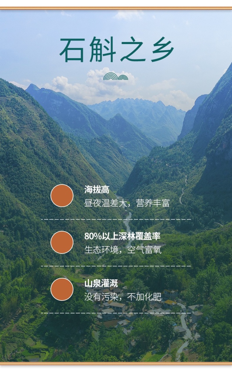 安徽霍山铁皮石斛枫斗老品种大量供应，x规格齐全