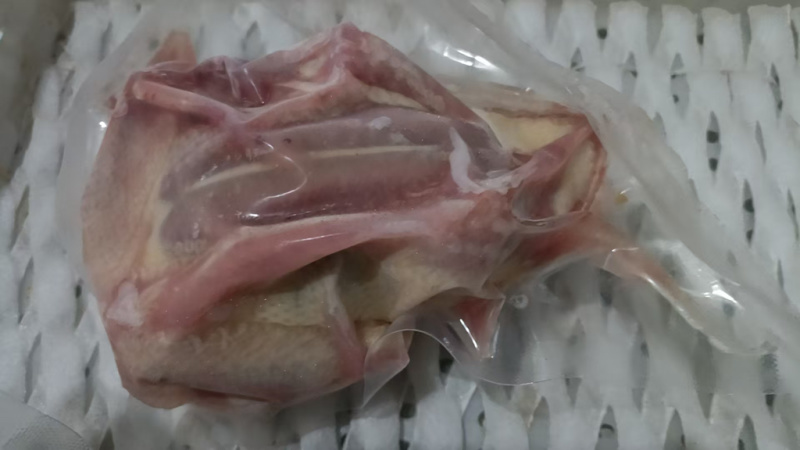 老鸽子，乳鸽，大量供应厂家直销价格优惠
