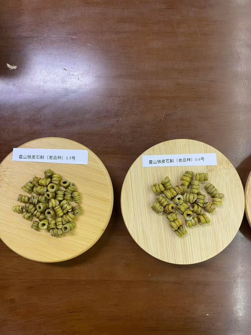 安徽霍山铁皮石斛枫斗老品种大量供应，x规格齐全