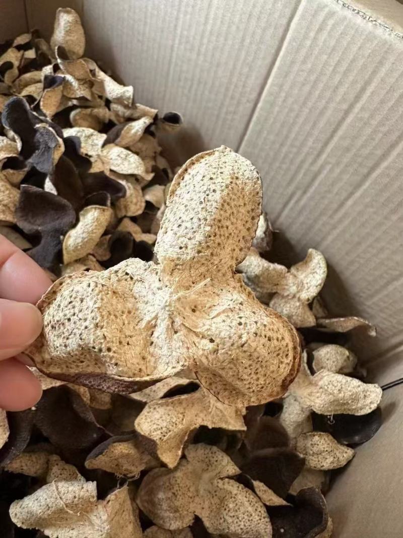 10年老树陈皮基地直发全国包邮售后无忧