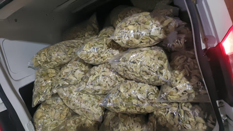 笋干大量现货供应，规格齐全，品质保证，对接电商市场批发商