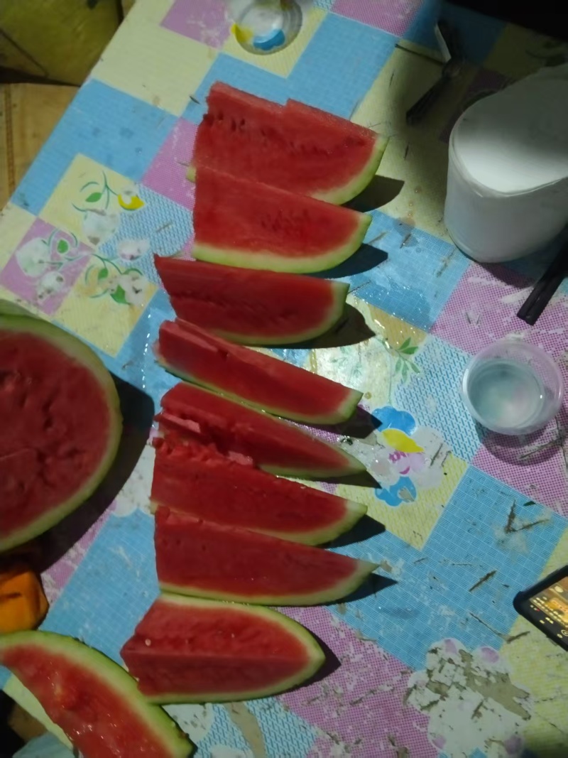 小拱棚金花西瓜