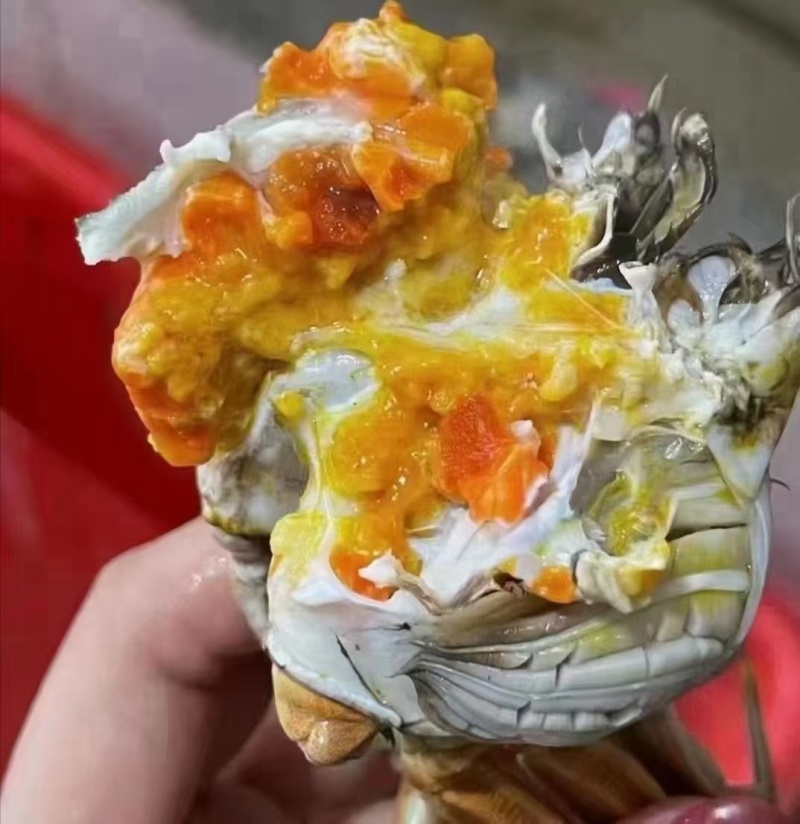 盘锦河蟹，产地直发各种规格，大量批发一手货源直供餐饮电商
