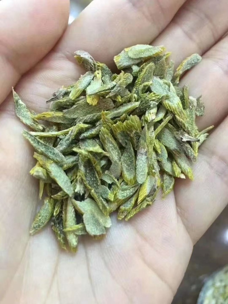 霍山铁皮石斛黄金片纯手工，支持一件代发量大从优