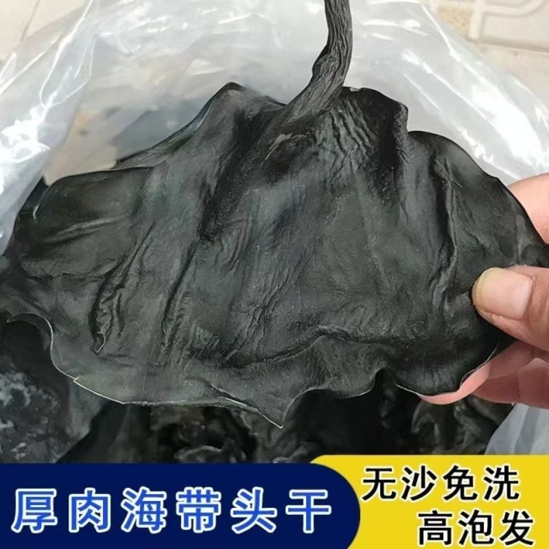 烘干海带头干货厚肉海带头海带片海带根海带火锅凉拌煲汤淡干