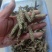 夏姑草求一手货源产地直发