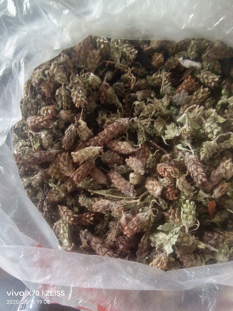 夏姑草求一手货源产地直发