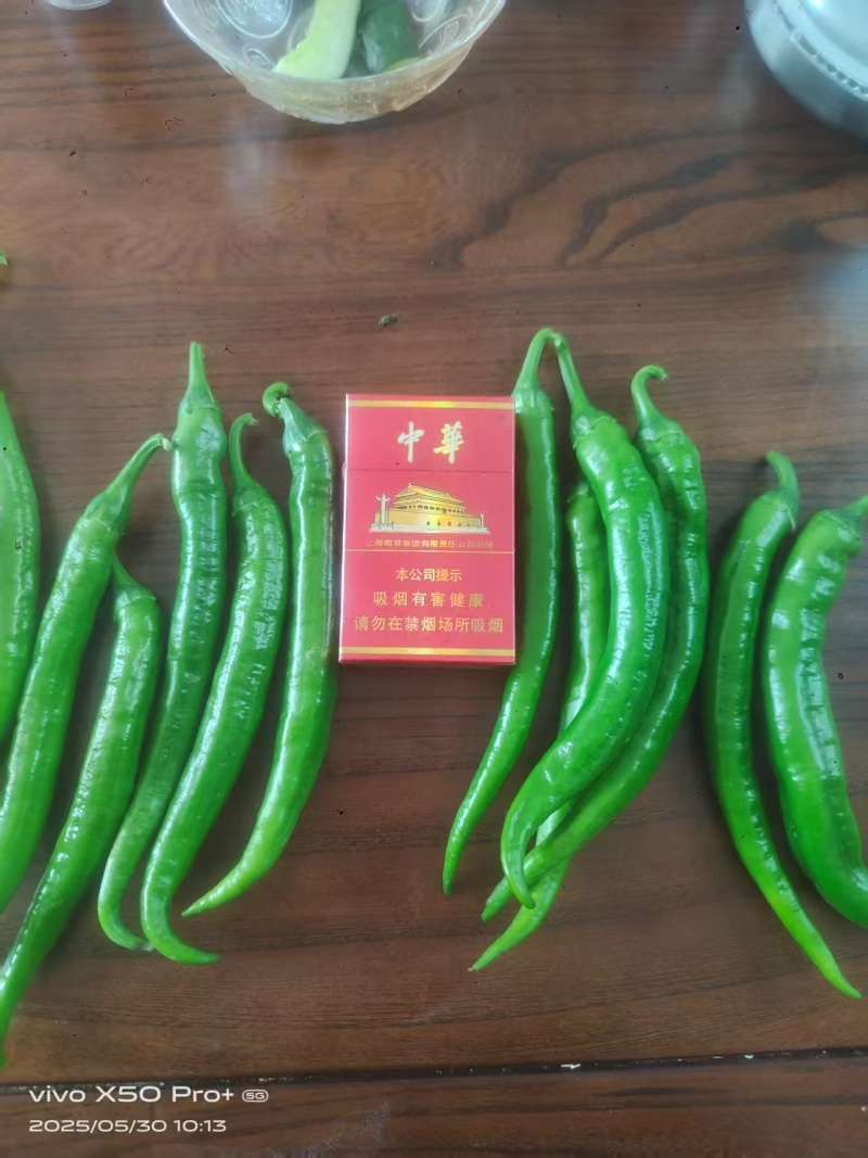 山东德州鲜辣椒/薄皮辣椒供应食品加工餐饮商超等渠道