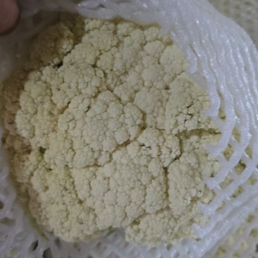甘肃高原夏菜