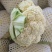 甘肃高原夏菜