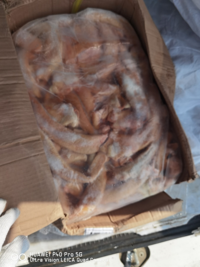 精修去油马心管