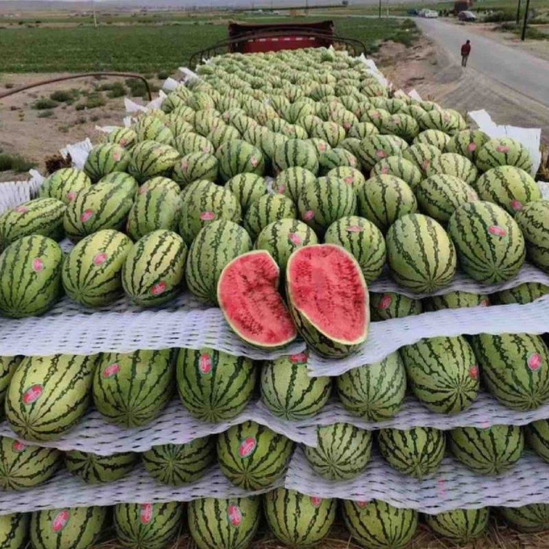 【推荐】宁夏硒砂瓜西瓜代办包熟包甜供应市场商超量大从优