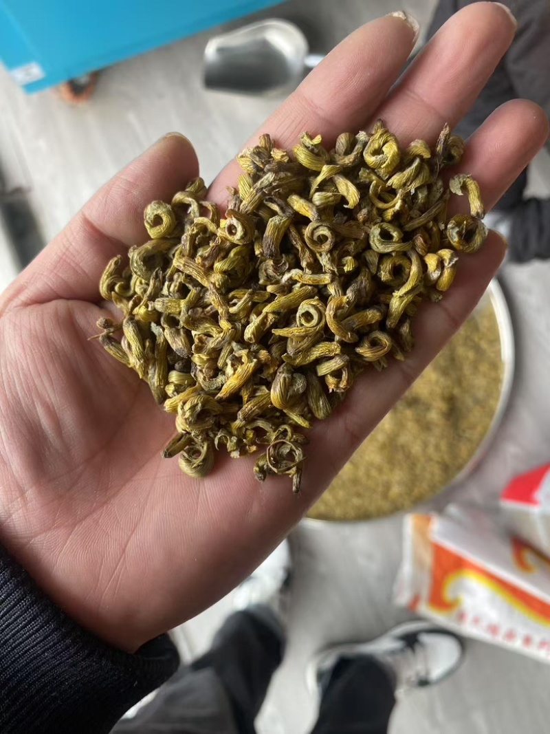 安徽霍山铁皮石斛边角料对接，量大从优，可打粉