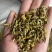 安徽霍山铁皮石斛边角料对接，量大从优，可打粉