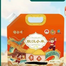 蒙古赤峰市敖汉旗小米。金苗K1