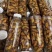 金蝉质量好含量高纯野生人工精选手工挑选货无杂质