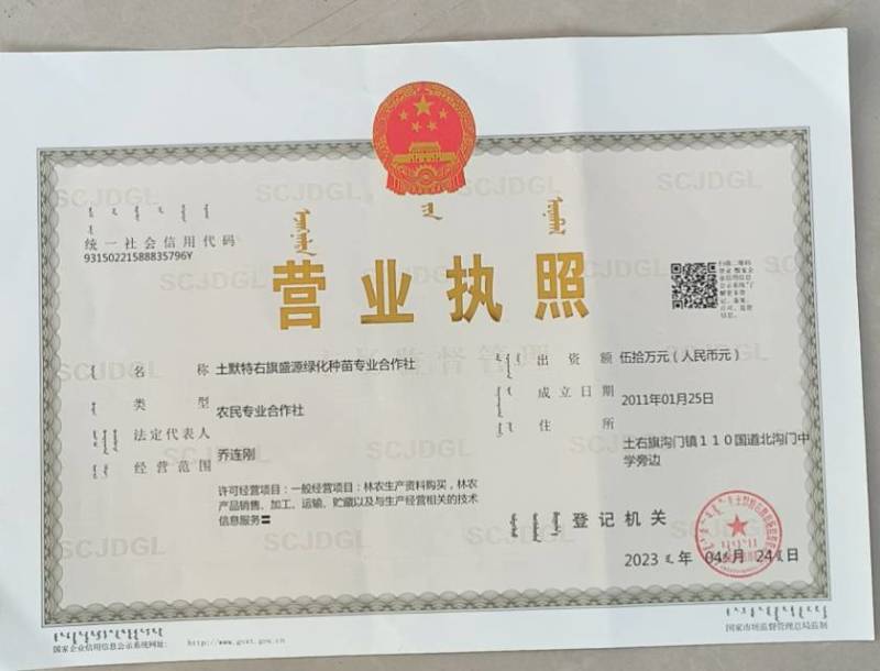 被阳光亲吻过的《蓝宝石西梅》，品质还会差吗？！