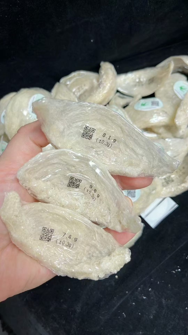 精品半干挑溯原码密盏工厂直销品质保证全国包邮
