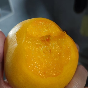 桃子（黄桃，软糯香甜，现摘现发，新鲜货，）