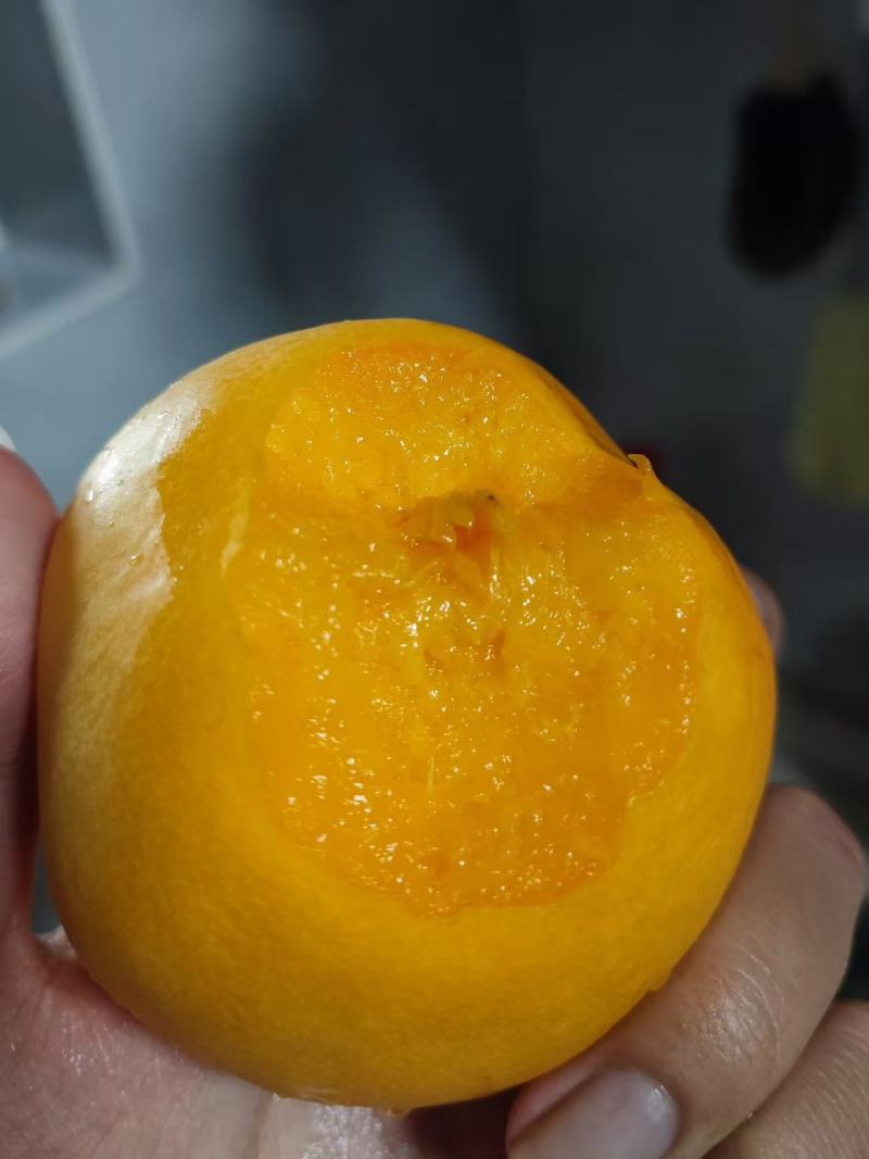 桃子（黄桃，软糯香甜，现摘现发，新鲜货，）