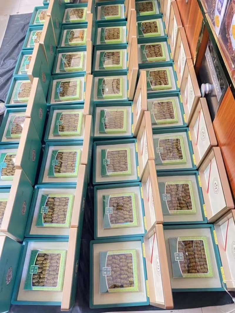 《包邮》精品铁皮石斛枫斗礼盒套装工厂直销