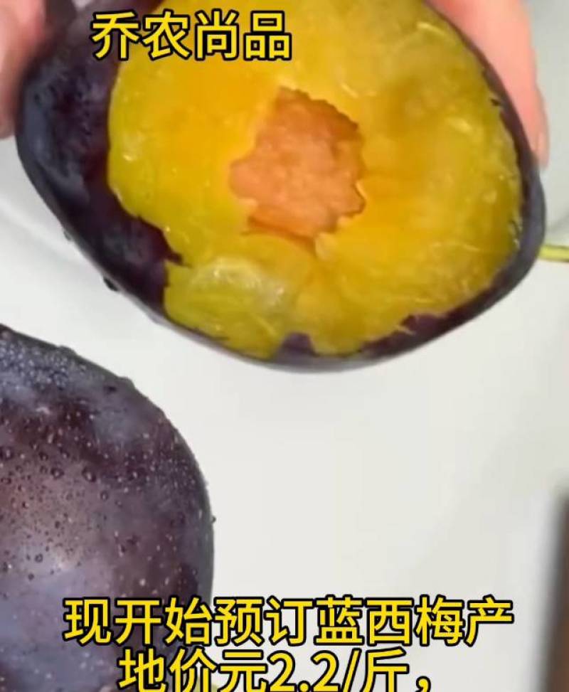 新鲜采摘蓝西梅，果肉饱满，香甜多汁！