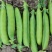 【优质推荐】青豌豆大量有货量大从优品质保障欢迎来电