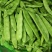 【优质推荐】青豌豆大量有货量大从优品质保障欢迎来电
