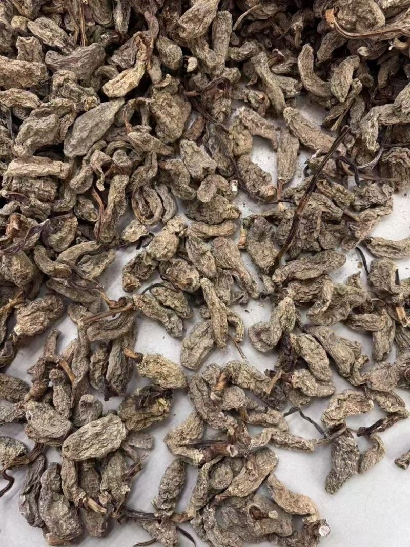 云南昭通林下防野生乌天麻，产地直销一手货源