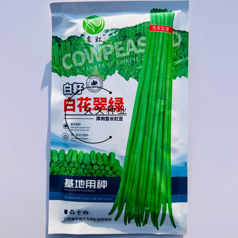 白籽白花翠绿豇豆种子特长豆角种子油亮翠绿肉厚长豇豆种籽