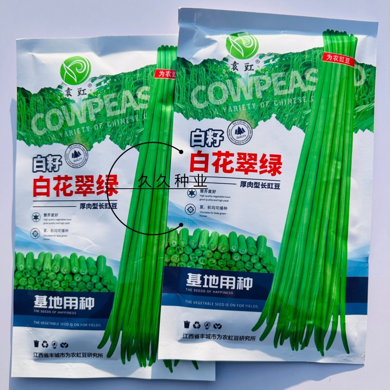 白籽白花翠绿豇豆种子特长豆角种子油亮翠绿肉厚长豇豆种籽