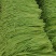 白籽白花翠绿豇豆种子特长豆角种子油亮翠绿肉厚长豇豆种籽