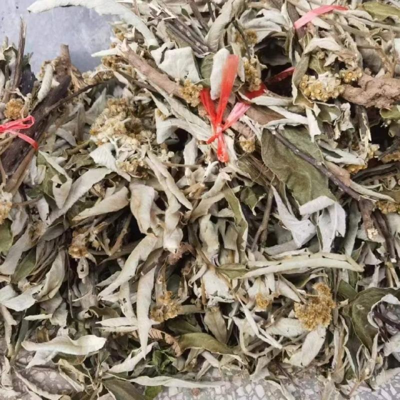 野生白面风根山白芷羊耳菊白牛胆干货煲汤,***批发