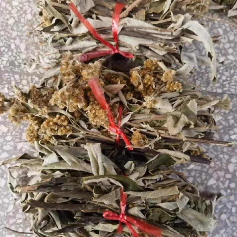 野生白面风根山白芷羊耳菊白牛胆干货煲汤,***批发
