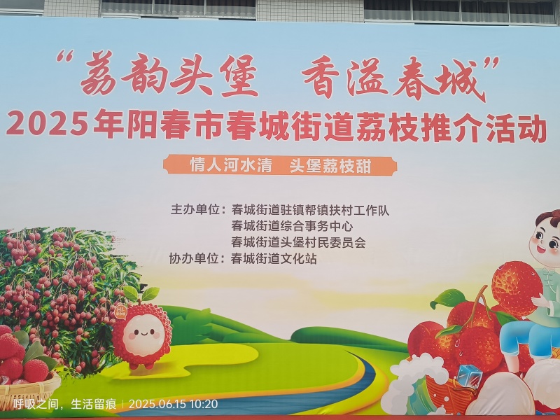 广东荔枝（桂味）